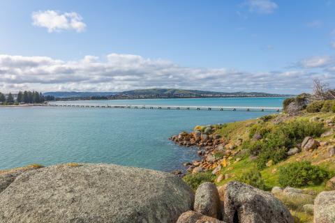 2025 annual report thumbnail