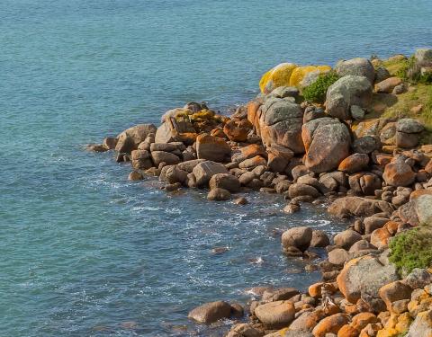 Update to the annual report 2025 cover - thumbnail